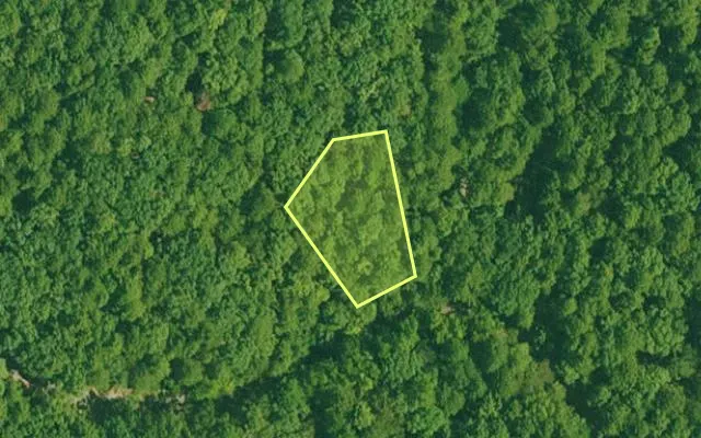 Aerial view of GARLAND County parcel 65993 — Arkansas post-auction with approximate parcel outline