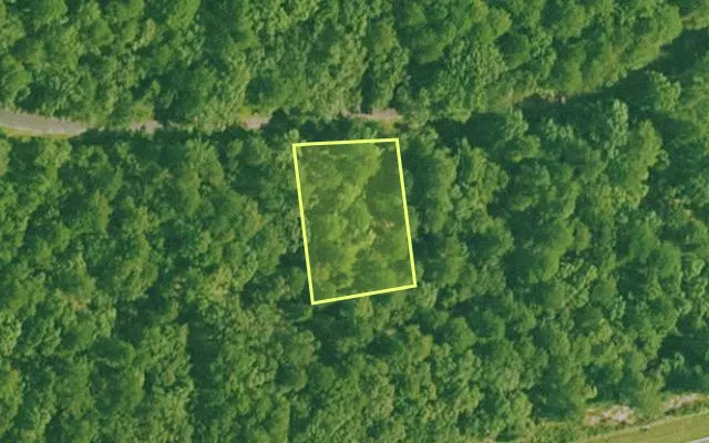 Aerial view of SALINE County parcel 564-00118-000 — Arkansas post-auction with approximate parcel outline
