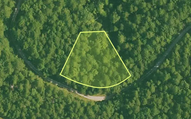 Aerial view of SALINE County parcel 420-00041-000 — Arkansas post-auction with approximate parcel outline