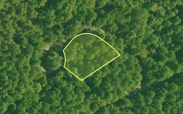 Aerial view of SALINE County parcel 668-00009-000 — Arkansas post-auction with approximate parcel outline