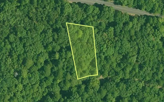 Aerial view of GARLAND County parcel 73254 — Arkansas post-auction with approximate parcel outline