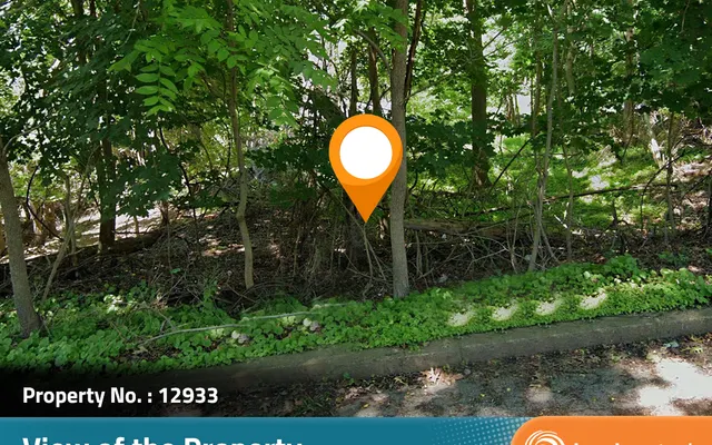 LandCentral listing preview for 0.23 acres in Venango, PA — 12933
