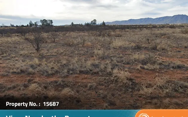 LandCentral listing preview for 0.83 acres in Cochise, AZ — 15687