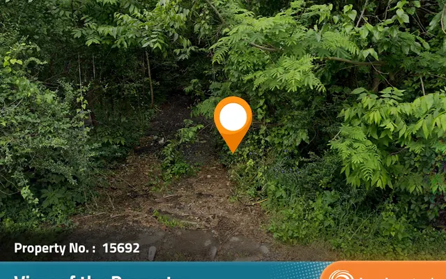 LandCentral listing preview for 0.31 acres in Jefferson, AL — 15692