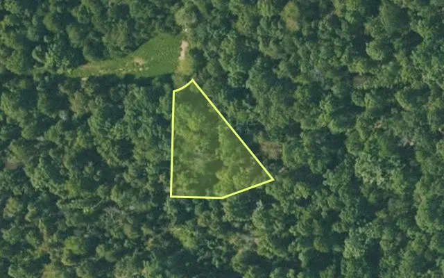 Aerial view of FULTON County parcel 365-20054-000 — Arkansas post-auction with approximate parcel outline