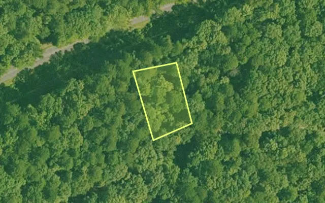 Aerial view of GARLAND County parcel 74771 — Arkansas post-auction with approximate parcel outline