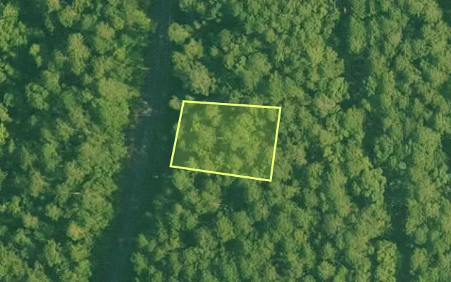 Aerial view of SALINE County parcel 460-00081-000 — Arkansas post-auction with approximate parcel outline