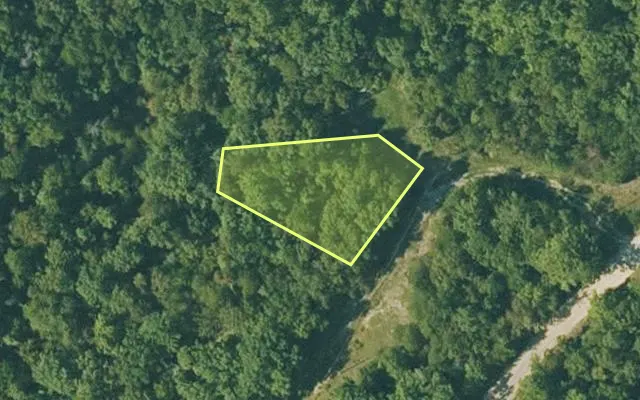 Aerial view of FULTON County parcel 290-17255-000 — Arkansas post-auction with approximate parcel outline