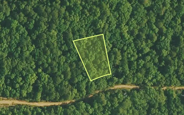 Aerial view of VAN BUREN County parcel 4400-20254-0000 — Arkansas post-auction with approximate parcel outline