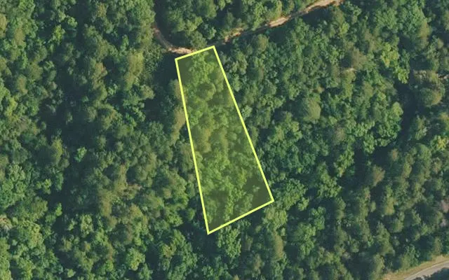 Aerial view of VAN BUREN County parcel 4400-14133-0000 — Arkansas post-auction with approximate parcel outline