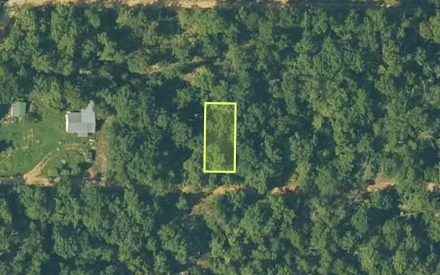 Aerial view of FULTON County parcel 686-25126-000 — Arkansas post-auction with approximate parcel outline