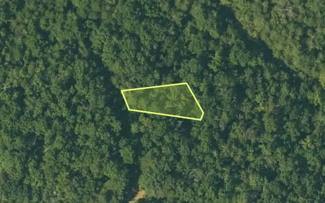 Aerial view of FULTON County parcel 110-10536-000 — Arkansas post-auction with approximate parcel outline
