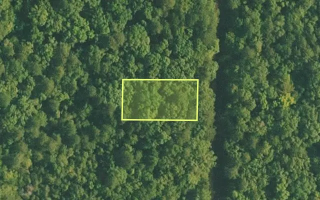 Aerial view of VAN BUREN County parcel 4500-01009-0000 — Arkansas post-auction with approximate parcel outline
