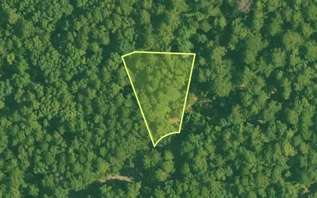 Aerial view of SALINE County parcel 632-00132-000 — Arkansas post-auction with approximate parcel outline