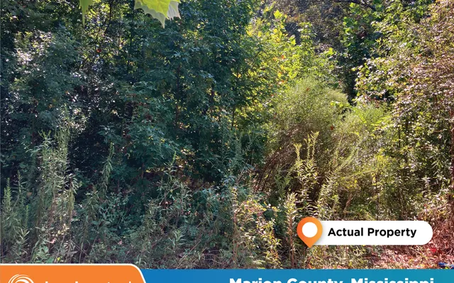 LandCentral listing preview for 0.35 acres in Marion, MS — 15052