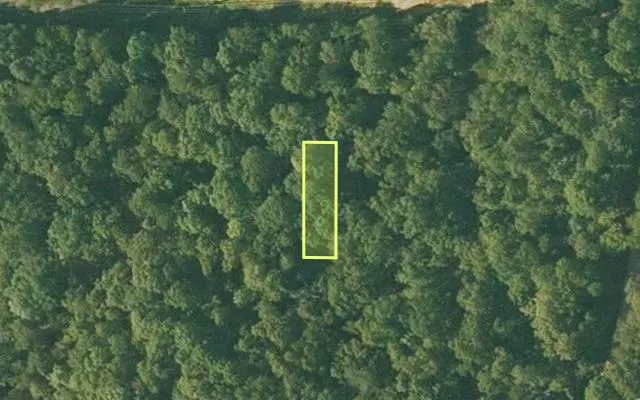 Aerial view of SHARP County parcel 388-00090-000 — Arkansas post-auction with approximate parcel outline