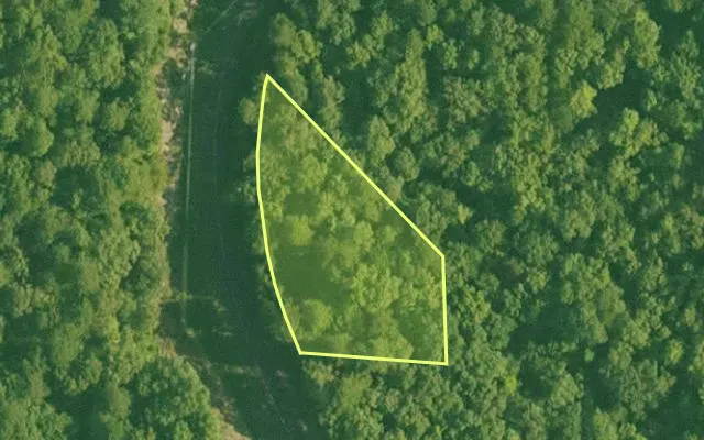 Aerial view of SALINE County parcel 492-00035-000 — Arkansas post-auction with approximate parcel outline