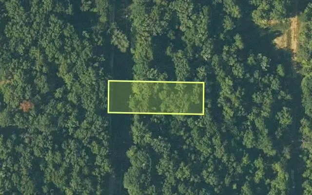 Aerial view of FULTON County parcel 689-25813-000 — Arkansas post-auction with approximate parcel outline