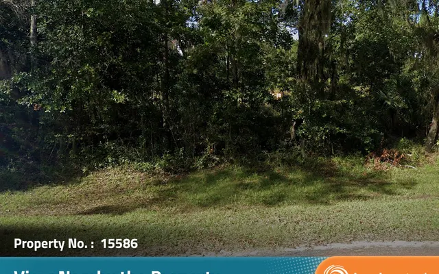 LandCentral listing preview for 0.31 acres in Camden, GA — 15586