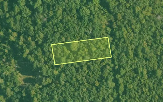 Aerial view of GARLAND County parcel 77289 — Arkansas post-auction with approximate parcel outline