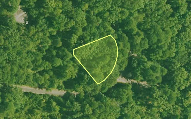 Aerial view of SALINE County parcel 456-00015-000 — Arkansas post-auction with approximate parcel outline