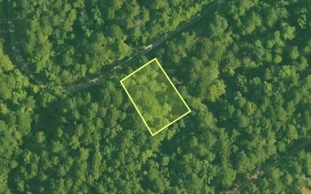 Aerial view of SALINE County parcel 420-00005-000 — Arkansas post-auction with approximate parcel outline