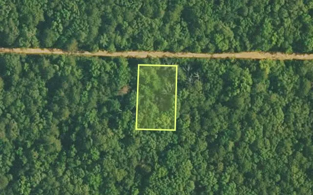 Aerial view of VAN BUREN County parcel 4200-01060-0000 — Arkansas post-auction with approximate parcel outline
