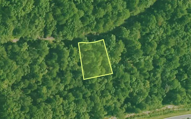 Aerial view of SALINE County parcel 564-00116-000 — Arkansas post-auction with approximate parcel outline