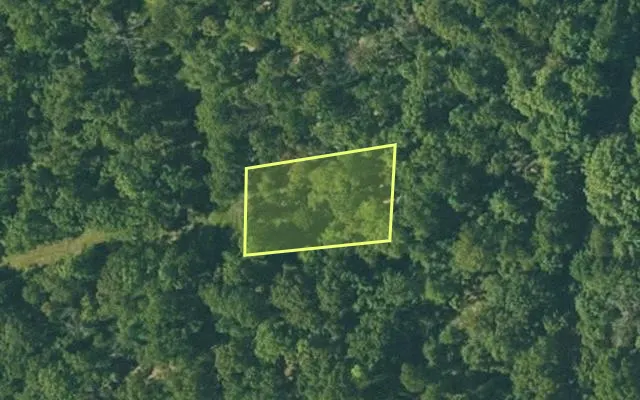 Aerial view of FULTON County parcel 375-20465-000 — Arkansas post-auction with approximate parcel outline