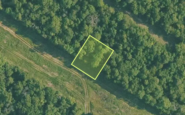 Aerial view of BAXTER County parcel 010-01701-000 — Arkansas post-auction with approximate parcel outline
