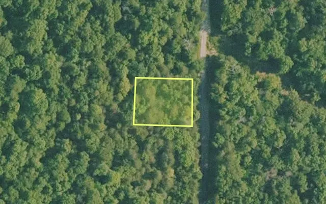 Aerial view of BAXTER County parcel 010-02243-000 — Arkansas post-auction with approximate parcel outline
