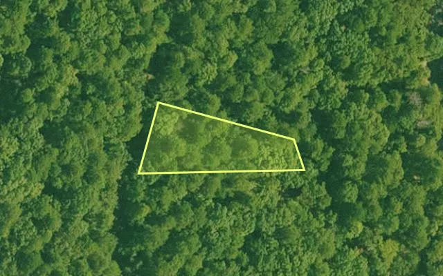 Aerial view of SALINE County parcel 536-00082-000 — Arkansas post-auction with approximate parcel outline
