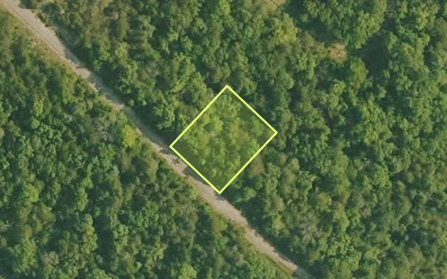 Aerial view of BAXTER County parcel 010-02462-000 — Arkansas post-auction with approximate parcel outline