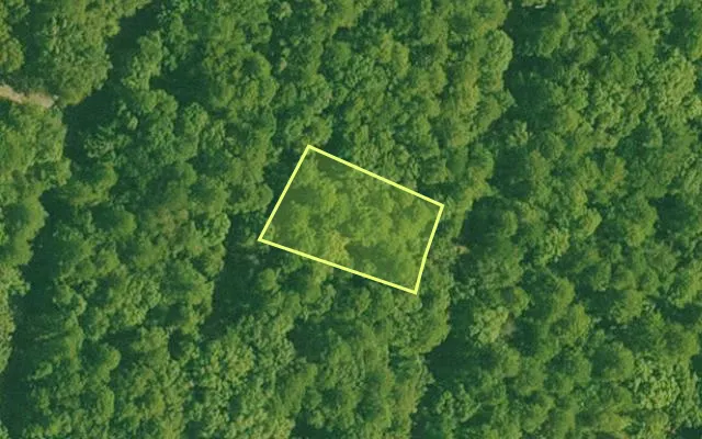 Aerial view of SALINE County parcel 536-00070-000 — Arkansas post-auction with approximate parcel outline