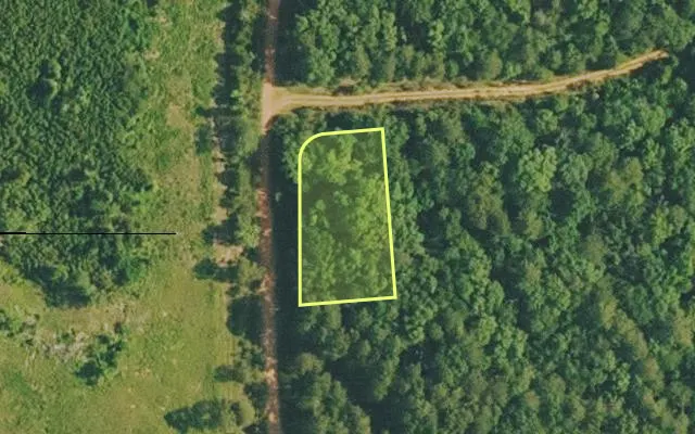 Aerial view of VAN BUREN County parcel 4200-01187-0000 — Arkansas post-auction with approximate parcel outline