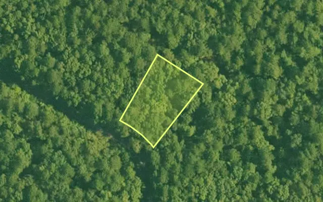 Aerial view of SALINE County parcel 736-00162-000 — Arkansas post-auction with approximate parcel outline