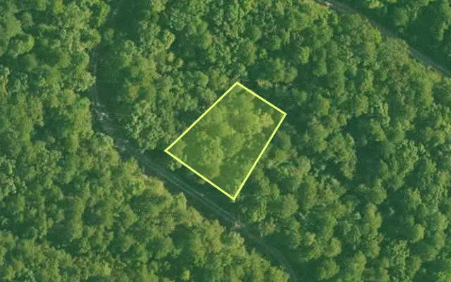Aerial view of SALINE County parcel 748-00058-000 — Arkansas post-auction with approximate parcel outline