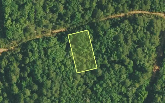 Aerial view of VAN BUREN County parcel 4200-02202-0000 — Arkansas post-auction with approximate parcel outline