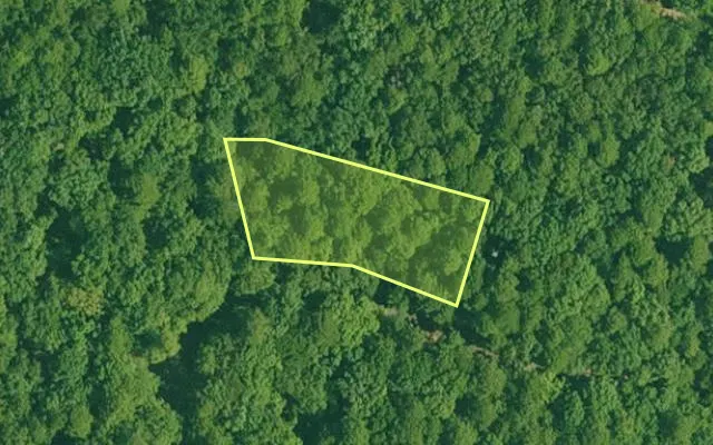 Aerial view of GARLAND County parcel 73395 — Arkansas post-auction with approximate parcel outline
