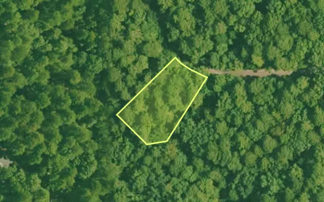Aerial view of SALINE County parcel 668-00169-000 — Arkansas post-auction with approximate parcel outline