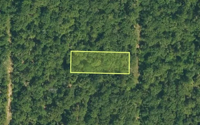 Aerial view of IZARD County parcel 800-01235-000 — Arkansas post-auction with approximate parcel outline