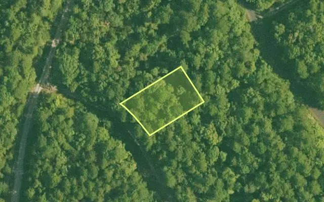 Aerial view of SALINE County parcel 448-00012-000 — Arkansas post-auction with approximate parcel outline