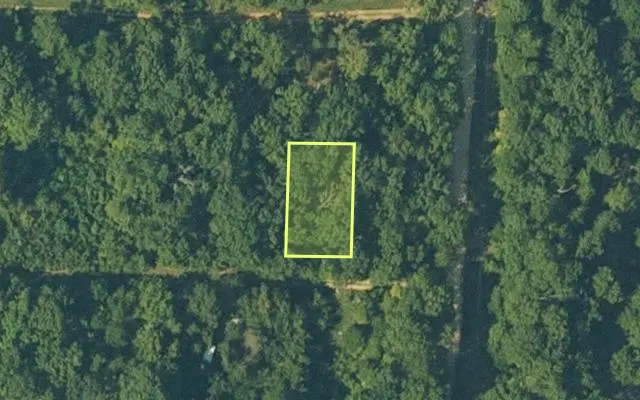 Aerial view of FULTON County parcel 687-25508-000 — Arkansas post-auction with approximate parcel outline
