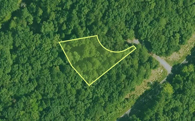 Aerial view of GARLAND County parcel 60869 — Arkansas post-auction with approximate parcel outline