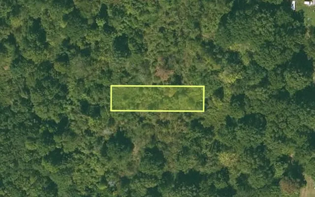 Aerial view of CHICOT County parcel 040-00956-000 — Arkansas post-auction with approximate parcel outline