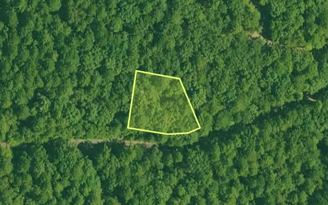 Aerial view of GARLAND County parcel 65978 — Arkansas post-auction with approximate parcel outline