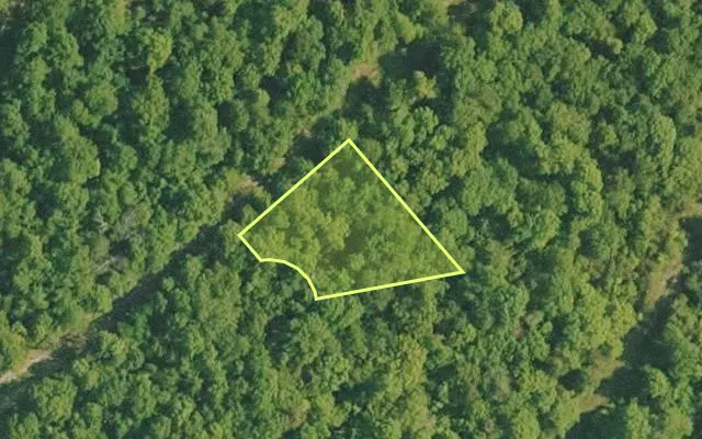Aerial view of BAXTER County parcel 010-00900-000 — Arkansas post-auction with approximate parcel outline