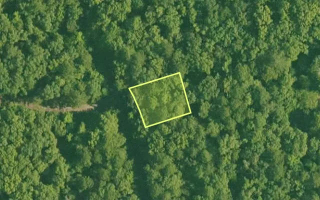 Aerial view of SALINE County parcel 516-00207-000 — Arkansas post-auction with approximate parcel outline