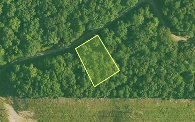 Aerial view of GARLAND County parcel 58698 — Arkansas post-auction with approximate parcel outline