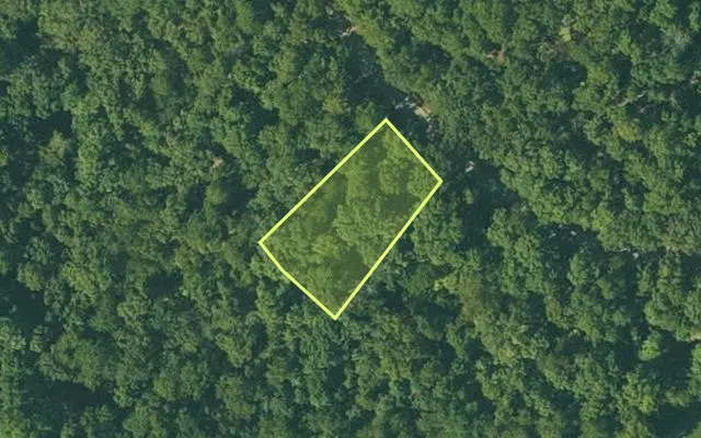 Aerial view of FULTON County parcel 350-19549-000 — Arkansas post-auction with approximate parcel outline